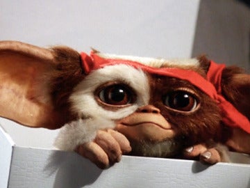 'Los Gremlins'