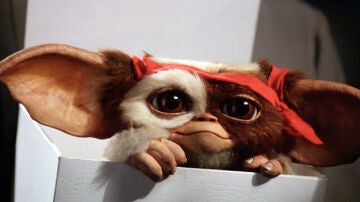 'Los Gremlins'