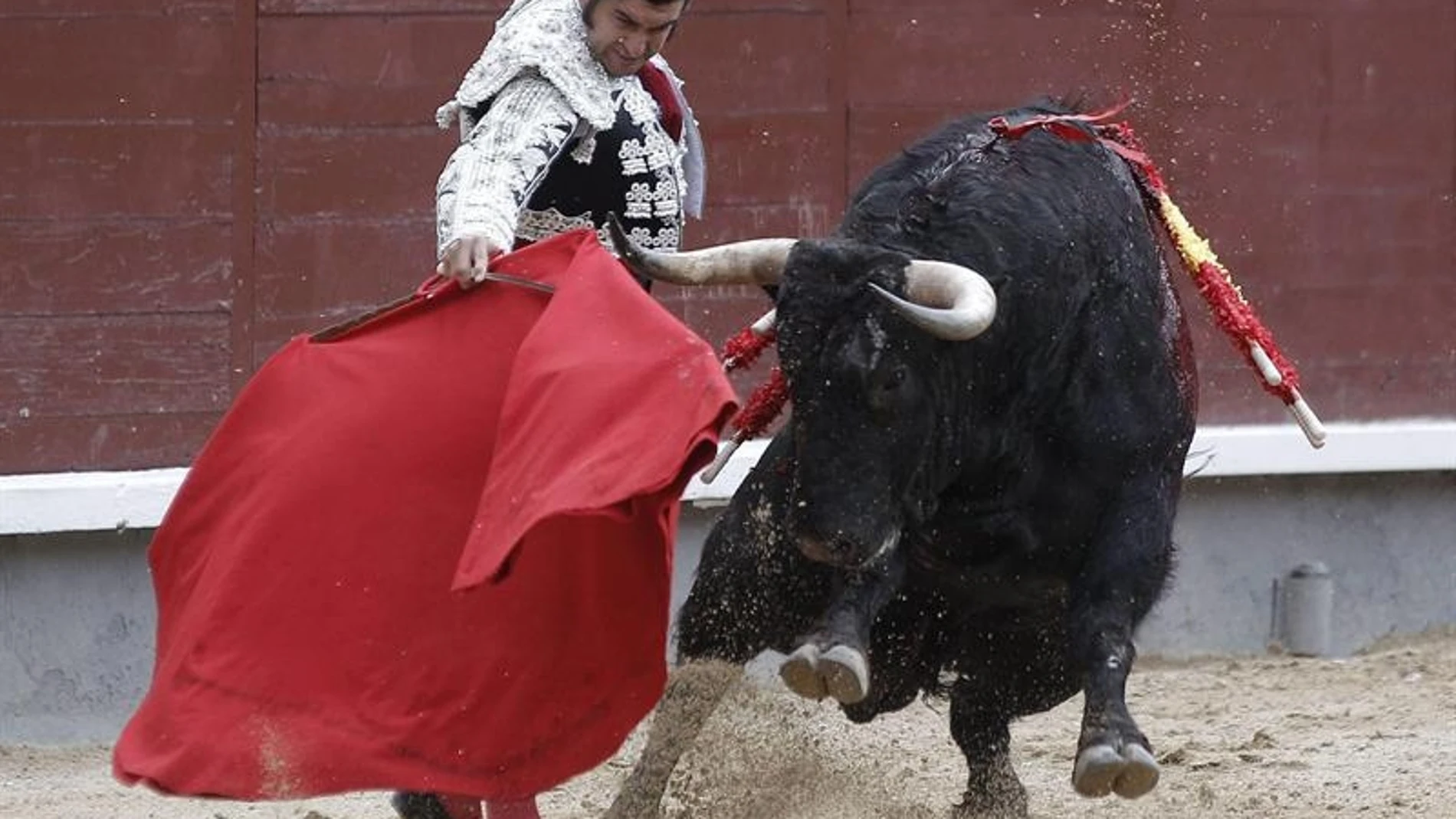 El diestro José Antonio 'Morante de la Puebla' da un pase con la muleta El diestro José Antonio 'Morante de la Puebla' da un pase con la muleta