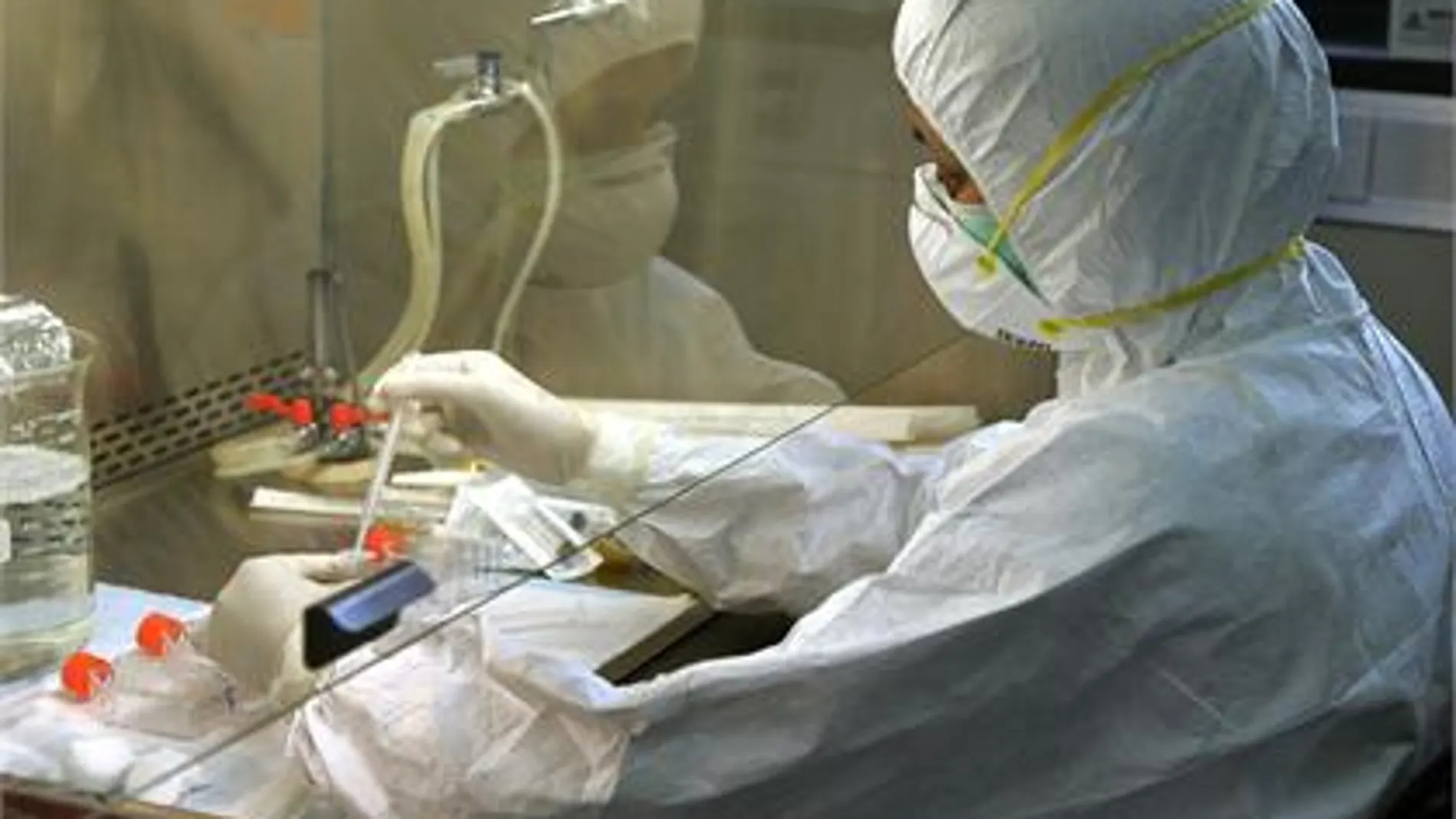 Investigadores diseñan bacterias productoras de electricidad Investigadores diseñan bacterias productoras de electricidad