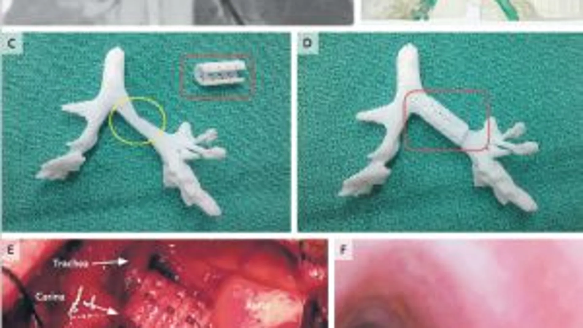Imágenes de la pieza creada por la impresora 3D Imágenes de la pieza creada por la impresora 3D