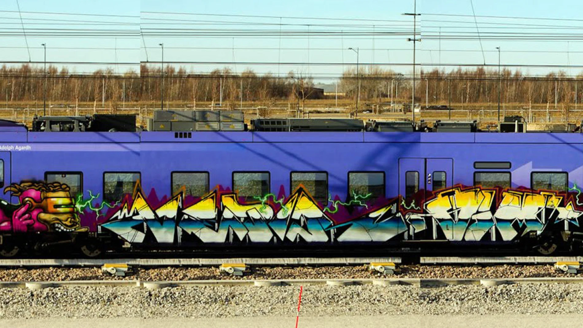 Grafitis en los trenes