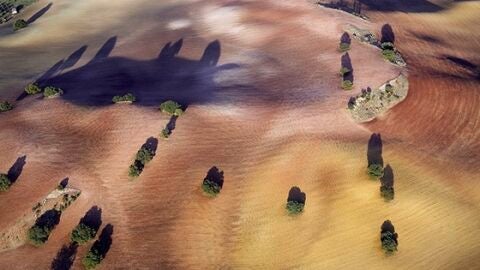 Exposici&oacute;n de Emmet Gowin