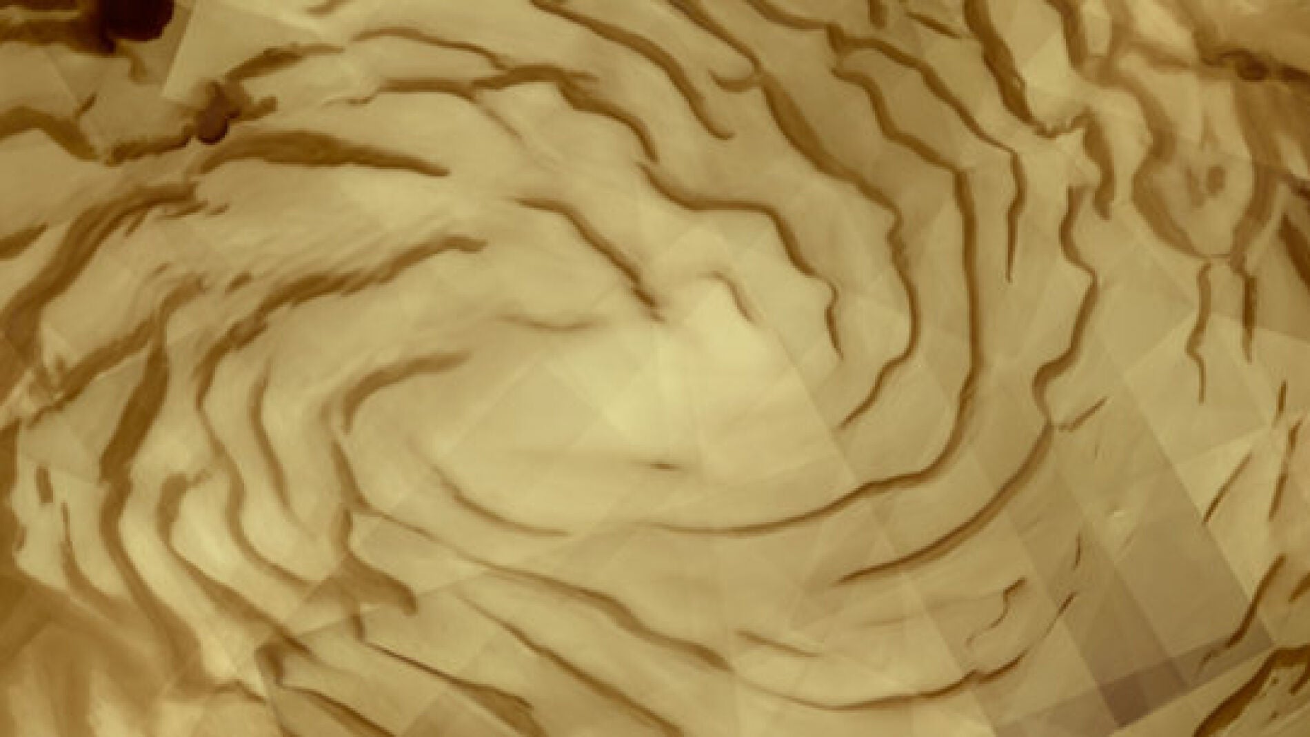 Un mosaico de 57 fotograf&iacute;as