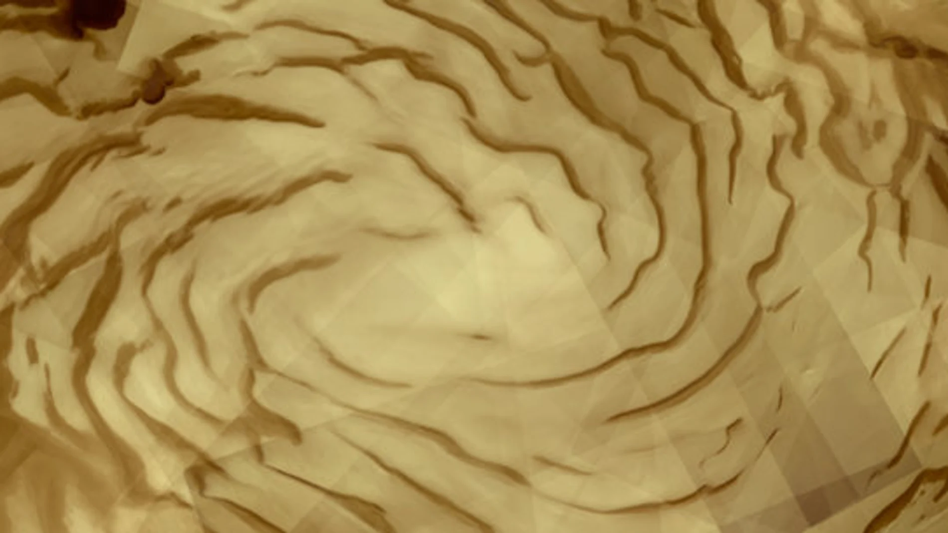 Un mosaico de 57 fotografías Un mosaico de 57 fotografías