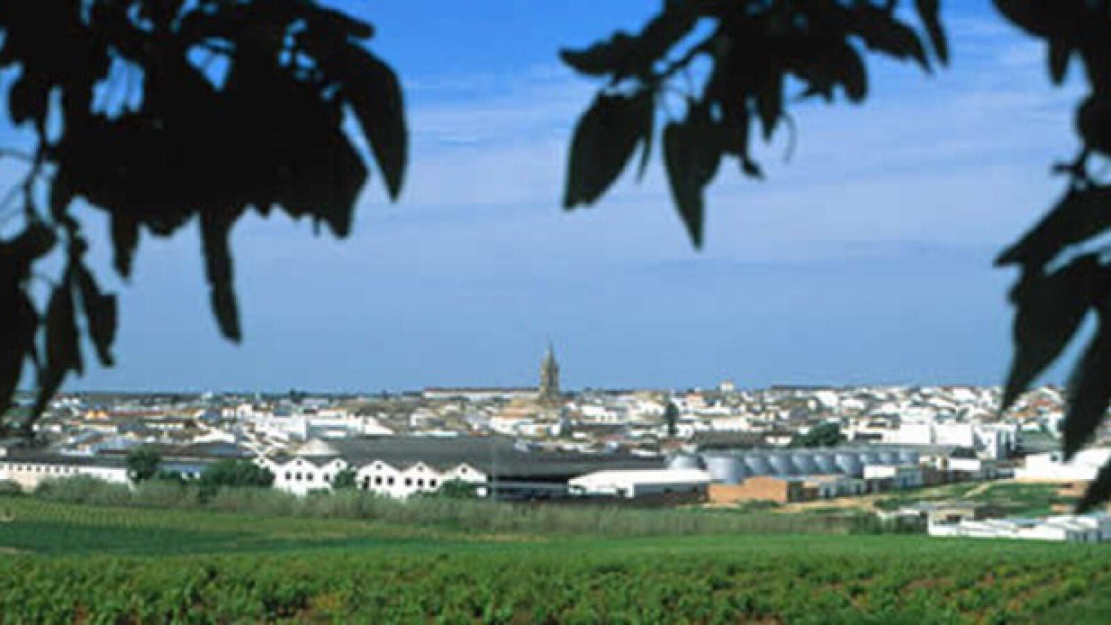 Una urbanización en Huelva ocupada por 70 familias en paro que piden un alquiler social