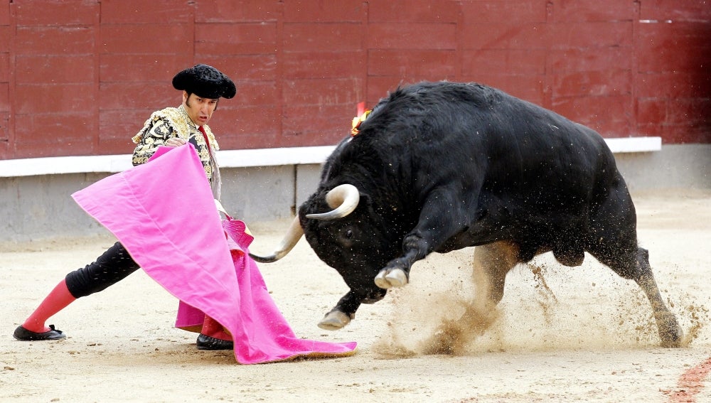 Se estira Morante