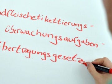 Rindfleischetikettierungsuberwachungsaufgabenubertragungsgesetz desaparece del alemán