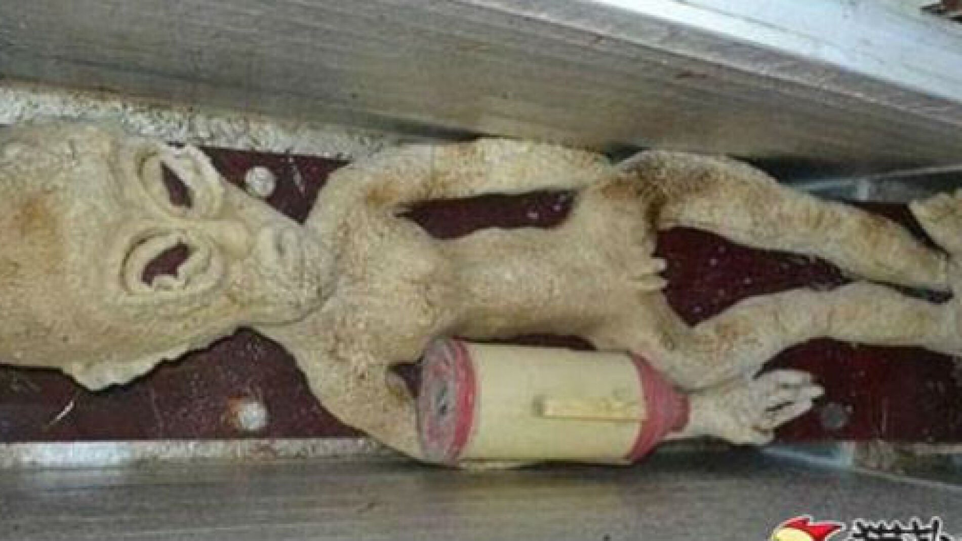 El supuesto alien en un congelador