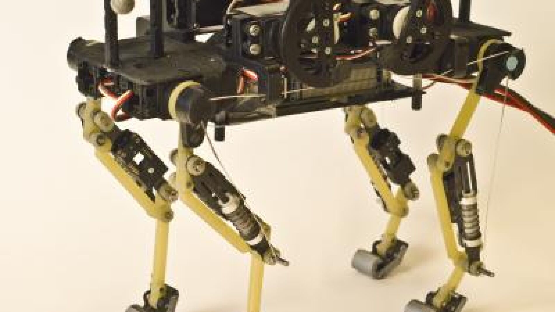 El robot gato dise&ntilde;ado por investigadores franceses