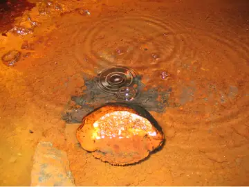 El agua más antigua del mundo El agua más antigua del mundo