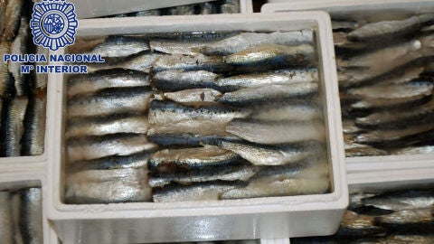 Cajas de sardinas en las que la droga estaba camuflada