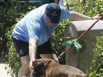 Las máximas podrían superar los 40 grados Las máximas podrían superar los 40 grados