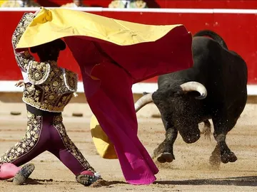 El torero sevillano Manuel Escribano recibe a porta gayola a su primer toro El torero sevillano Manuel Escribano recibe a porta gayola a su primer toro