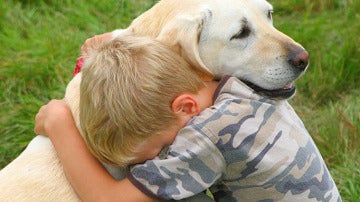 Un niño abraza a su perro