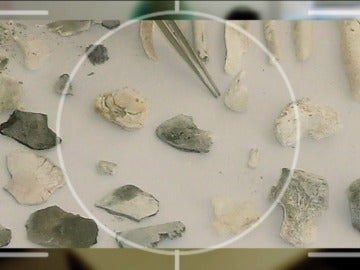 Restos óseos encontrados en la hoguera de Las Quemadillas