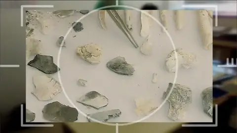 Restos óseos encontrados en la hoguera de Las Quemadillas Restos óseos encontrados en la hoguera de Las Quemadillas