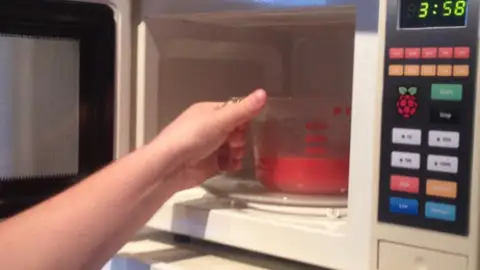 RaspBerry Pi en un microondas RaspBerry Pi en un microondas