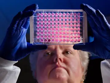 Superbacterias Superbacterias