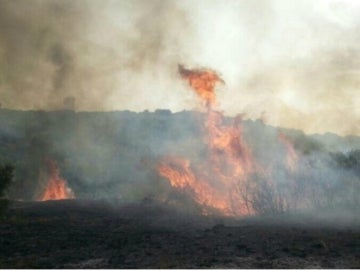 Un incendio de Almorox (Toledo) obliga a desalojar dos urbanizaciones por precaución