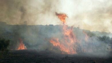 Un incendio de Almorox obliga a desalojar dos urbanizaciones por precaución