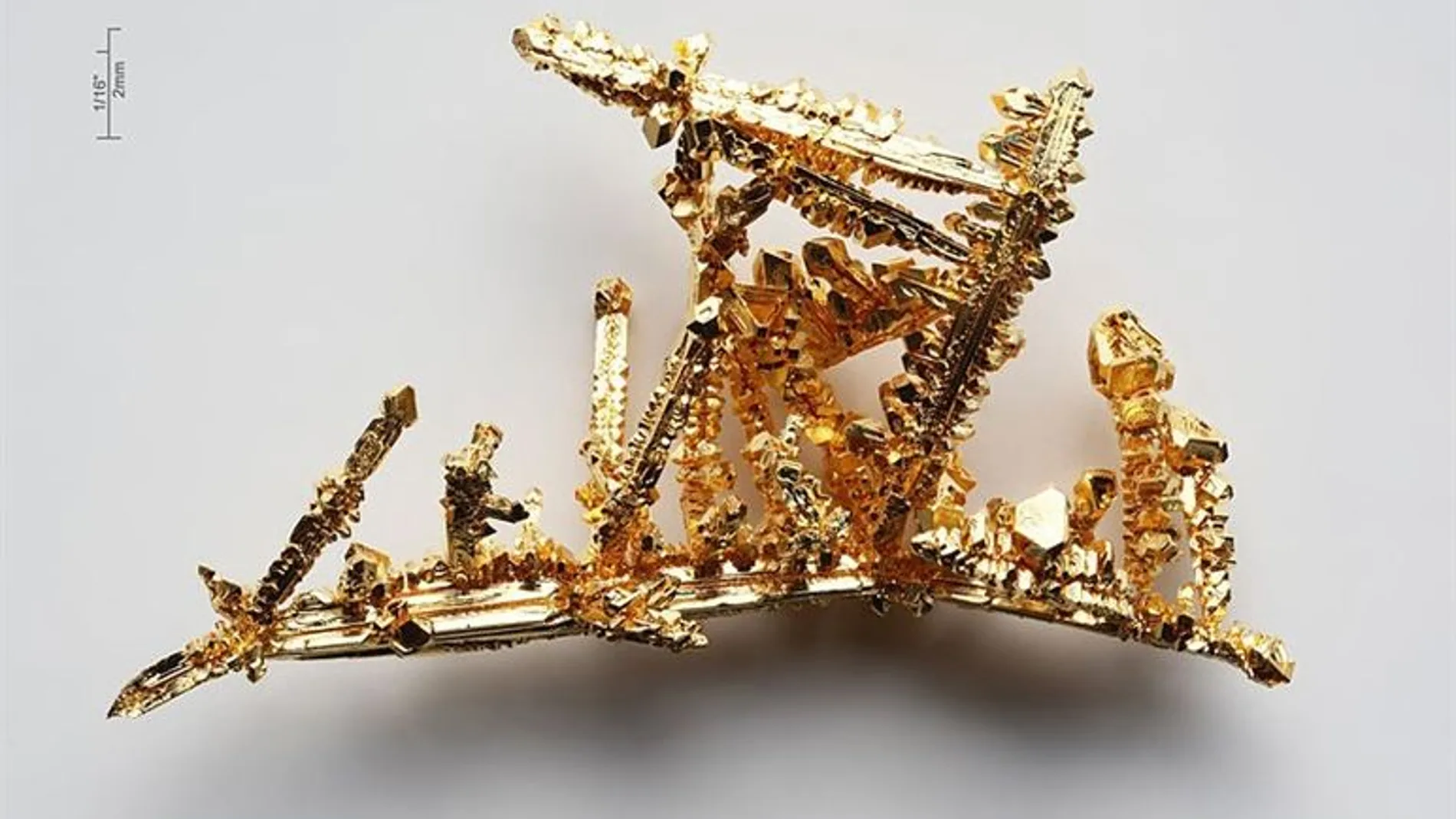 Una pieza de oro Una pieza de oro