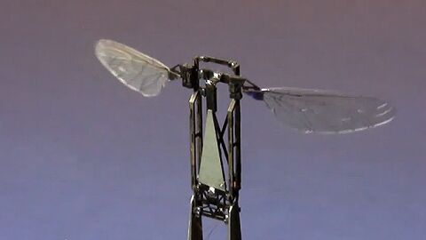 'Abeja-robot' creada para polinizar flores