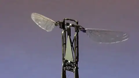 'Abeja-robot' creada para polinizar flores 'Abeja-robot' creada para polinizar flores