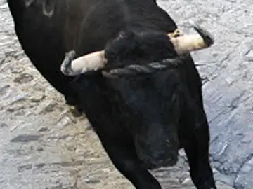 Lunes del toro de cuerda Lunes del toro de cuerda