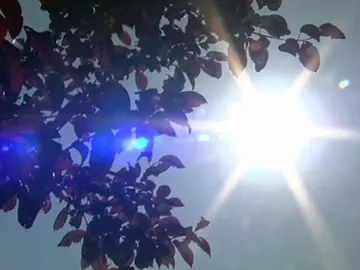 Sol en pleno verano Sol en pleno verano