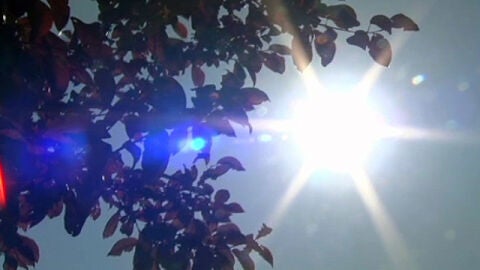 Sol en pleno verano
