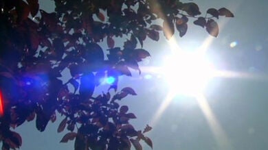 La 'dueña' del Sol demanda a Ebay por bloquear la venta de parcelas del astro