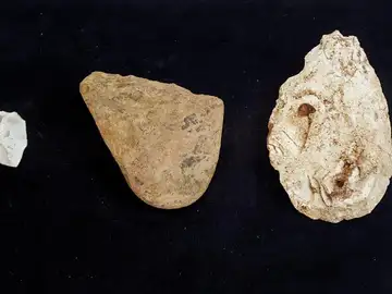 Un cuchillo, el vestigio de homínidos más antiguo de Atapuerca Un cuchillo, el vestigio de homínidos más antiguo de Atapuerca