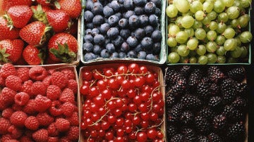 Frutas y frutos.