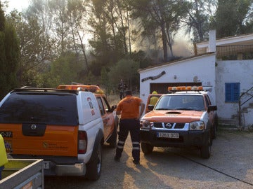El fuego ha quemado 900 hectáreas en Andratx El fuego ha quemado 900 hectáreas en Andratx