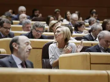 La portavoz de UPyD, Rosa Díez, durante la comparecencia del presidente del Gobierno La portavoz de UPyD, Rosa Díez, durante la comparecencia del presidente del Gobierno