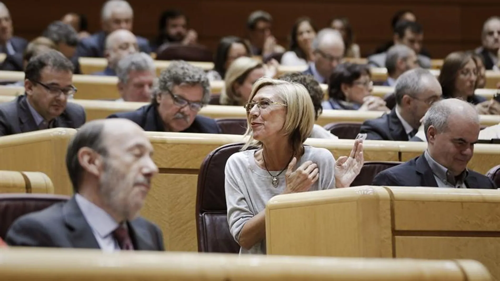 La portavoz de UPyD, Rosa Díez, durante la comparecencia del presidente del Gobierno La portavoz de UPyD, Rosa Díez, durante la comparecencia del presidente del Gobierno