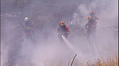 Controlan el incendio de Cebreros que ha afectado a cerca de 1.000 hectáreas