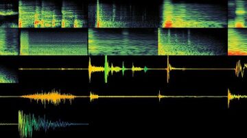 Detector de emociones en la voz