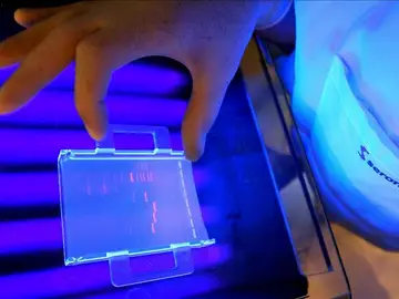 Avances en la vacuna contra la malaria Avances en la vacuna contra la malaria