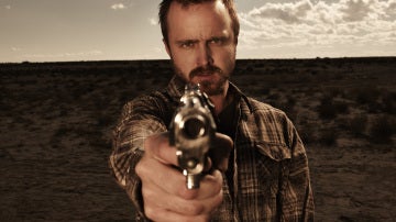 Jesse Pinkman (Aaron Paul)