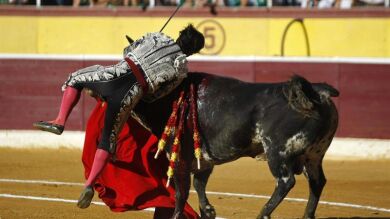 El diestro Morante de la Puebla, corneado en el muslo izquierdo por su primer toro en Huesca