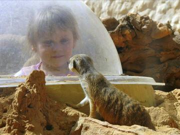 Una niña observa a un roedor del desierto gracias a una bóveda de cristal que respeta el ecosistema del animal