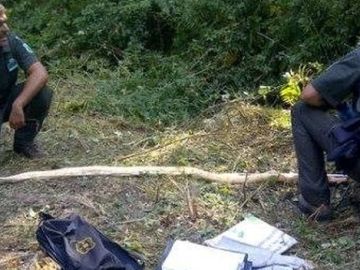 Hallada muerta la pitón de dos metros desaparecida hace ocho días en un pueblo de Girona