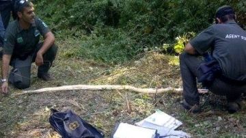 Hallada muerta la pitón de dos metros desaparecida hace ocho días en un pueblo de Girona