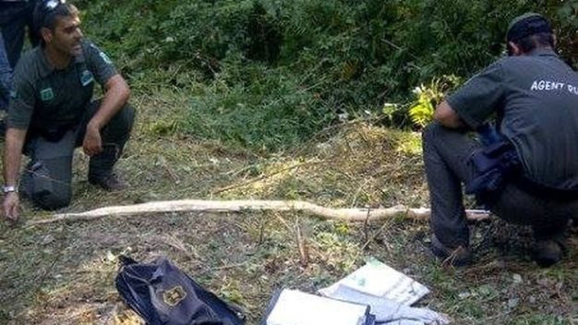 Hallada muerta la pit&oacute;n de dos metros desaparecida hace ocho d&iacute;as en un pueblo de Girona