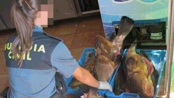 Pescado decomisado