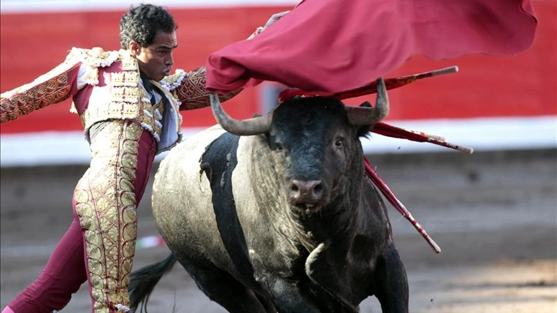 El matador de toros el colombiano, Luís Bolivar realiza un pase de pecho