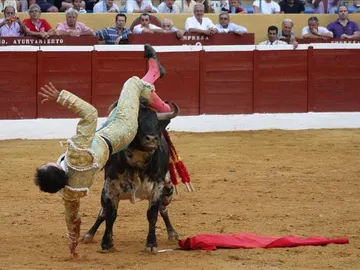 Fortes durante su última cornada en Málaga. Fortes durante su última cornada en Málaga.