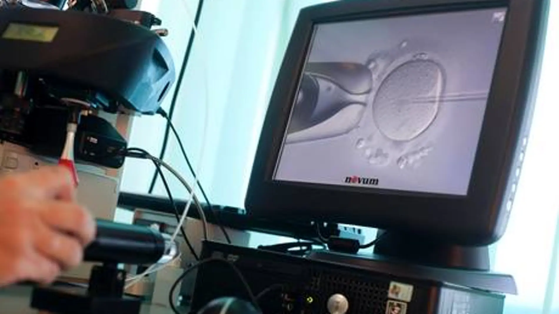 Las células que investigan en Kioto Las células que investigan en Kioto